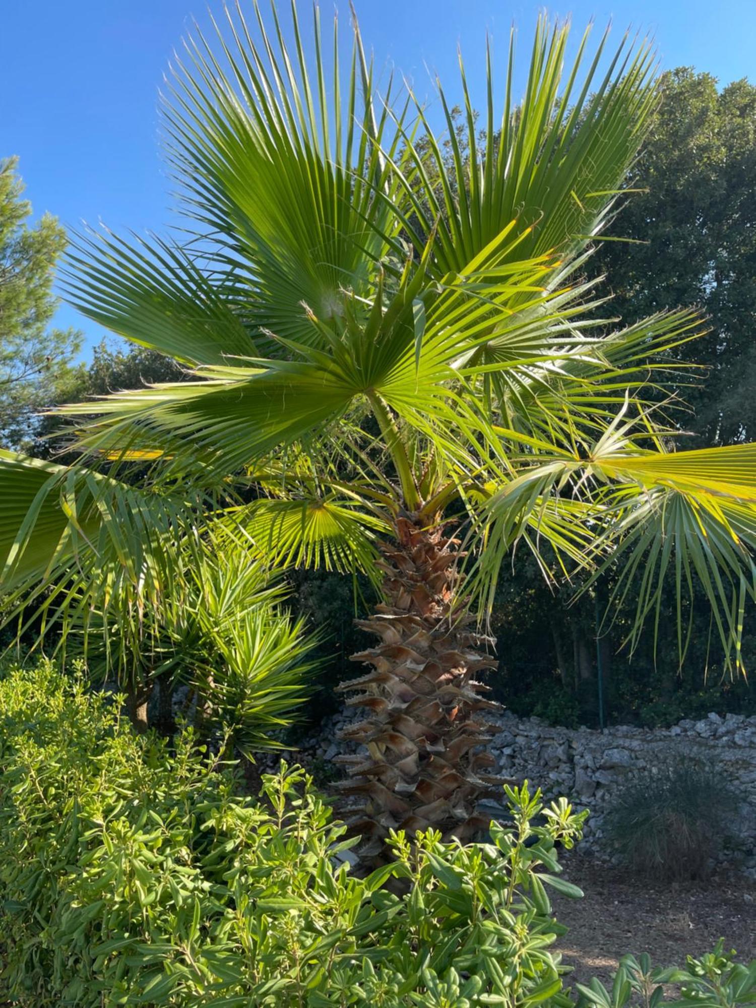 Hotel Da Ksenia Ceglie Messapica Esterno foto